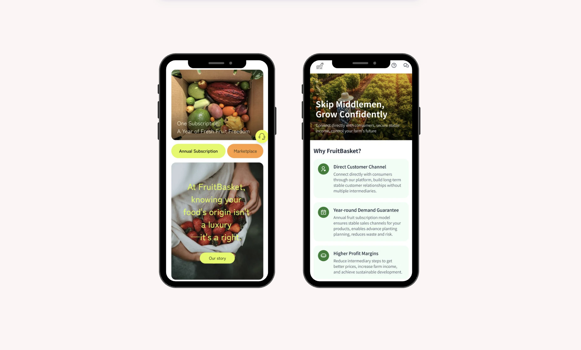 FruitBasket — hero image