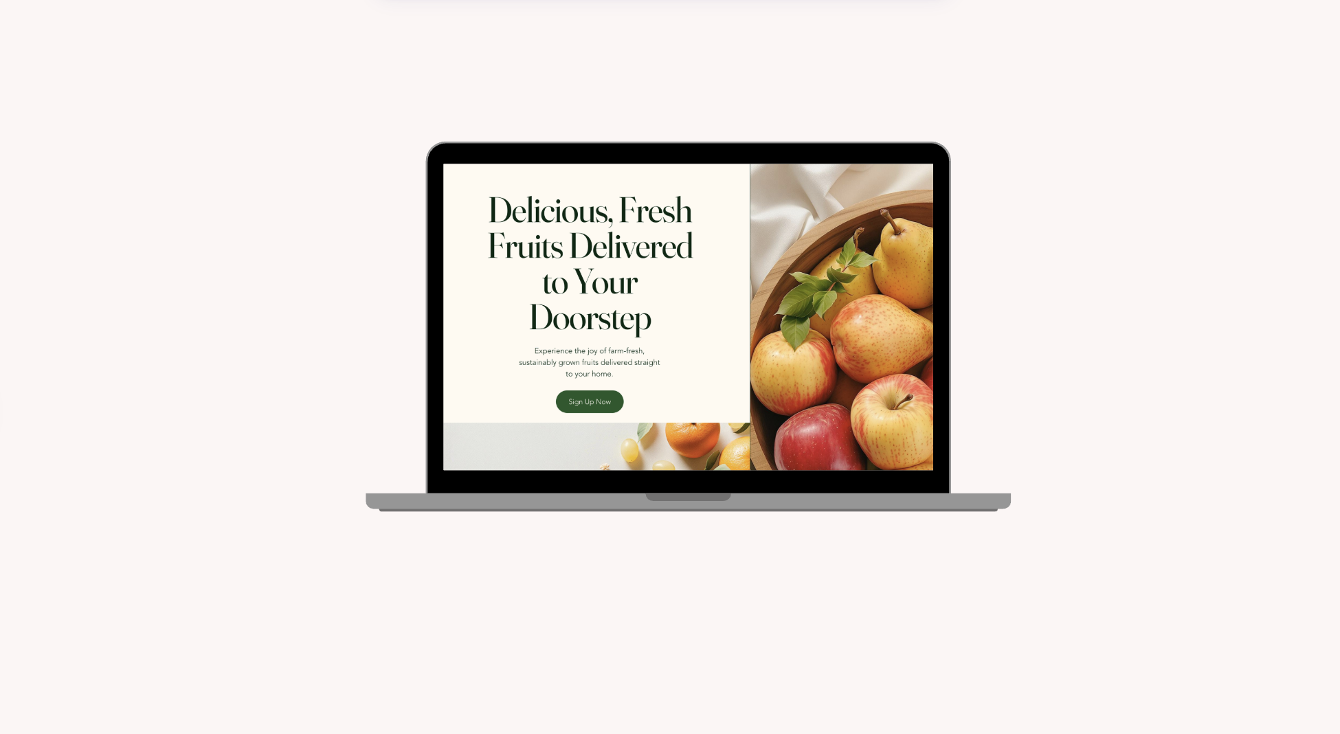 FruitBasket project